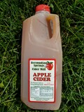 1/2 Gallon Apple Cider