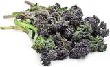 Broccolini - Purple