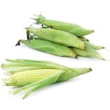 Bi Color Corn on the Cob
