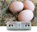 CAGE FREE Brown Eggs