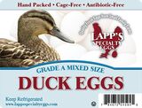 Duck Eggs - See Video