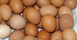 Organic Pastured Eggs