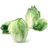 Nappa Cabbage 