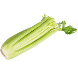  Celery