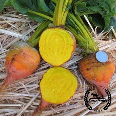 Gold Beets